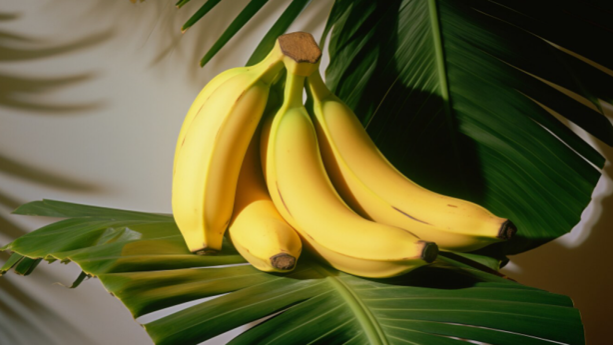 Lima Jenis Pisang Lokal Unggulan di Indonesia yang Wajib Kamu Coba