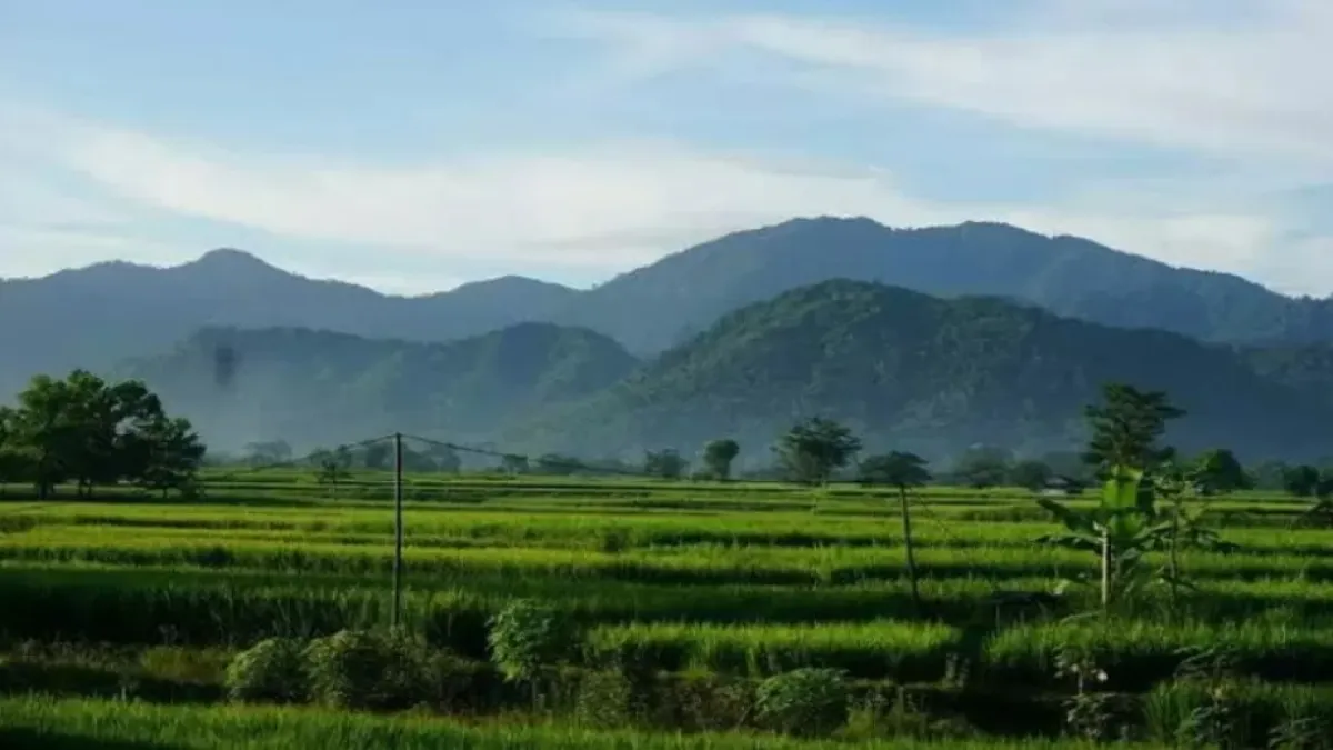 6 Fakta Unik Gunung Sanggabuana, Satu-satunya Gunung Tertinggi di Karawang Jawa Barat