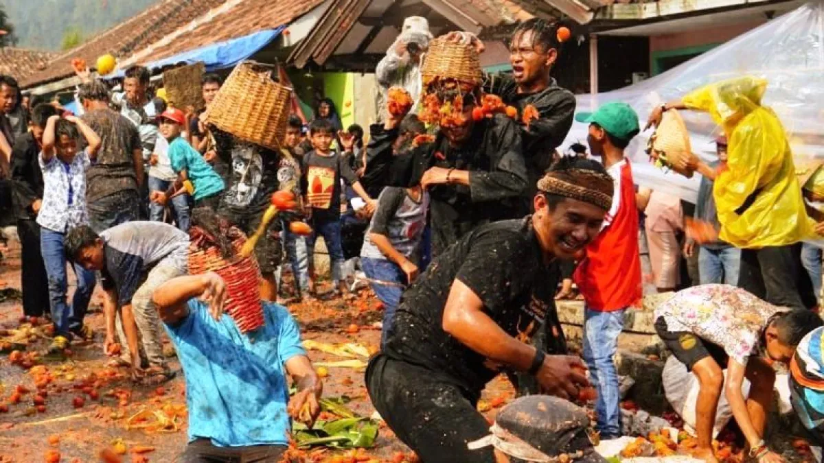 Budaya Perang Tomat di Desa Cikidang Lembang, dari Hiburan hingga Buang Sial