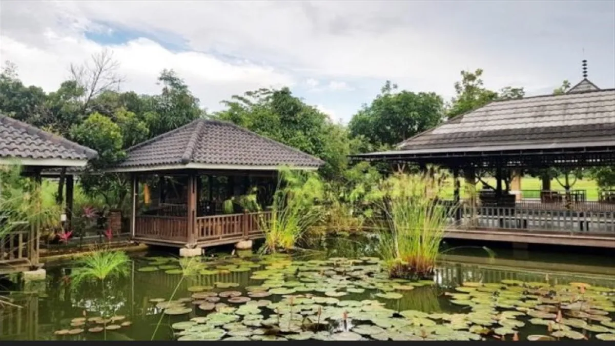 Rekomendasi Rumah Makan Sunda di Purwakarta yang Sering Disebut ‘Terenak’, Nomor 3 Bikin Kaget!