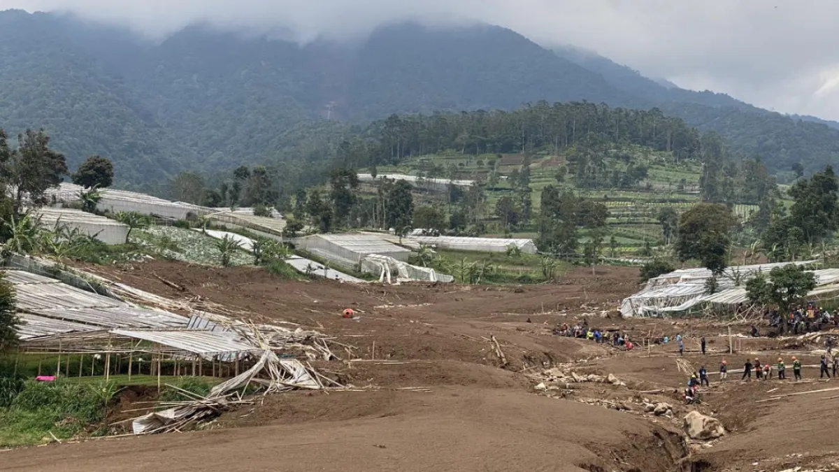 Lahan Longsor Cisarua Akan Dijadikan Hutan Bambu oleh Dedi Mulyadi