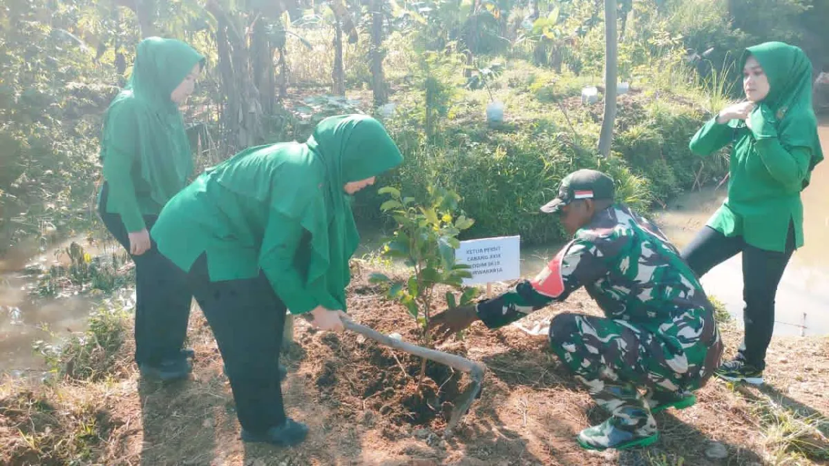 Peduli Lingkungan, Persit KCK Cabang Kodim 0619/Purwakarta Tanam 100 Pohon Produktif dan Pelindung