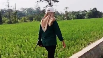 Ratusan Hektare Sawah di Sumurgintung Terancam Gagal Panen Akibat Kekeringan dan Pasokan Air Berekurang
