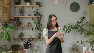 5 Rekomendasi Tanaman Hias Tahan Panas, Rumah Auto Cantik