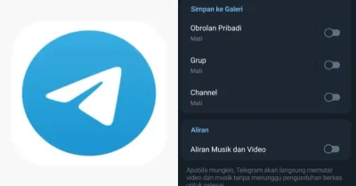 Cara Menonaktifkan Simpan File Otomatis di Telegram dengan Mudah