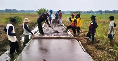 Tunjang Program Ketahanan Pangan, Pemdes Rangdu Bangun Jalan Usaha Tani