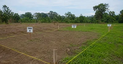 Kenali Prosedur dan Syarat Pemisahan Bidang Tanah