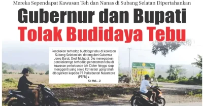 Gubernur dan Bupati Tolak Budidaya Tebu, Sependapat Kawasan Teh dan Nanas di Subang Selatan Dipertahankan