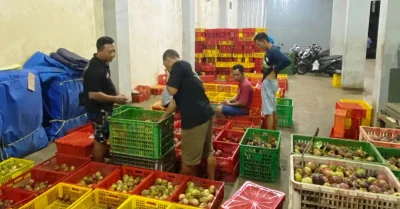 Produksi Manggis Purwakarta Turun Drastis, Petani Rugi hingga Ekspor Mandek
