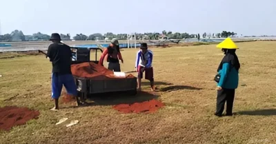 Sambut HUT RI, Pemdes Rangdu Siapkan Sarana Penunjang Pemuda Olahraga