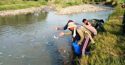 Jaga Ekosistem, Benih Ikan Ditabur di Sungai Cilamatan Subang