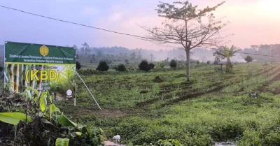 Warga Pertanyakan Manfaat Ekonomi, Tebu Dinilai Kurang Cocok di Subang Selatan