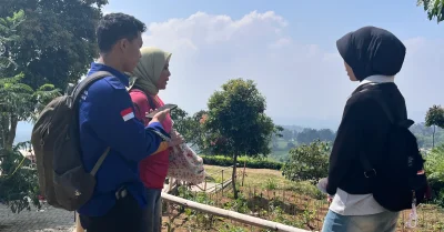 Di Balik Indahnya Kebun Teh Ciater, Petani Ungkap Proses Merawat Tanaman Teh Hingga Siap Panen