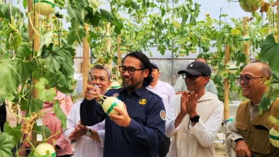 Bapperida Subang dan POLSUB Kembangkan Budidaya Melon Teknologi Hidroponik Machida