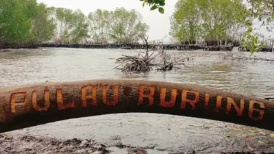 Mengenal Pulau Burung, Pesona Wisata Hutan Mangrove di Subang Utara