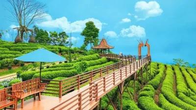 5 Spot Favorit untuk Foto di Subang, Nomor 3 Paling Diburu Wisatawan!