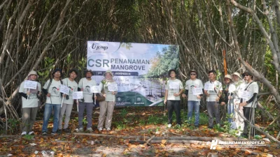 PT Uwu Jump Indonesia Tanam Mangrove dalam Buis Beton Peringati Hari Mangrove Sedunia di Pantai Dimayangan Subang