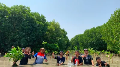 Tanam 1000 Mangrove di Hari Mangrove Internasional, Upaya Pemuda PERSIS Cegah Abrasi di Subang