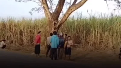 Korban Begal di Jalur Tebu Purwadadi Subang Meninggal Dunia, Polisi Lakukan Olah TKP dan Kejar Pelaku