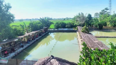 Kolam Pemancingan Ikan Patin Kinaan Jaya, Surga Mancing yang ada di Subang