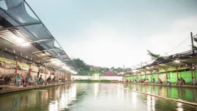 Hobi Mancing Lele di Subang? Ini 4 Pemancingan Ikan Lele Subang yang Bisa Jadi Pilihan, Ada yang Buka 24 Jam!