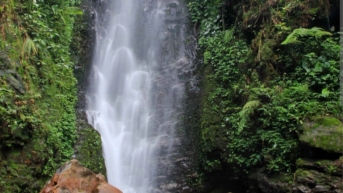 Curug Favorit di Subang yang Lagi Viral Tahun 2026, Airnya Jernih dan Suasananya Adem