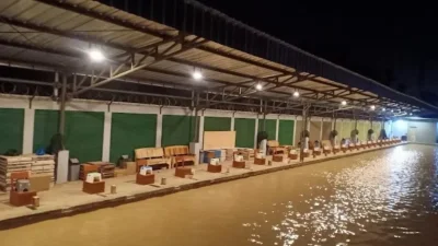 Buru Strike! Ini Spot Mancing Dekat Ciasem Subang yang Seru
