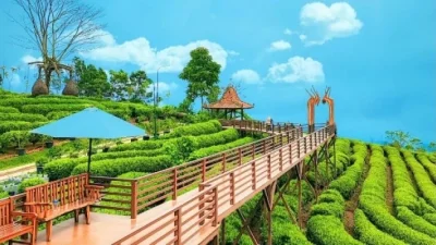 3 Tempat Wisata Subang Dekat Bandung yang Murah, Cocok untuk Liburan Hemat