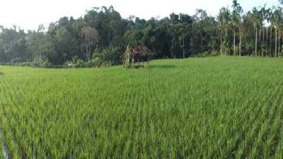 Desa Rawalele Wisata Dawuan Subang Terbaru yang Mulai Mencuri Perhatian
