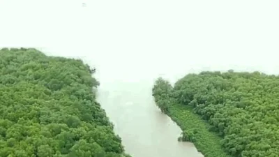 Di Mana Ujung Sungai Cipunagara Subang? Begini Rute Menuju Hilirnya