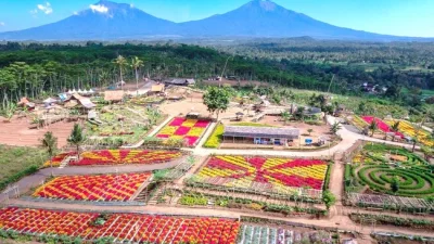 Wisata Pusakajaya Subang Terbaru, Ada Potensi Agrowisata dan Wisata Budaya Rangdu