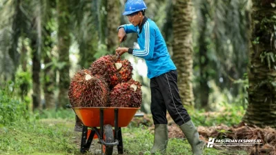 Produktivitas Sawit di Subang Tertinggi di Jawa Barat, Capai 11.562 Kg per Hektare