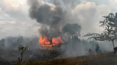 Daftar Kebakaran Hutan di Indonesia 2026, Asap Meluas hingga Negara Tetangga