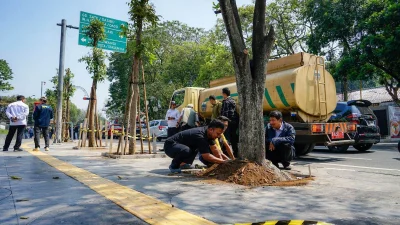 Farhan Tegaskan Bakal Tindak Pemotongan Pohon di Ruang Publik
