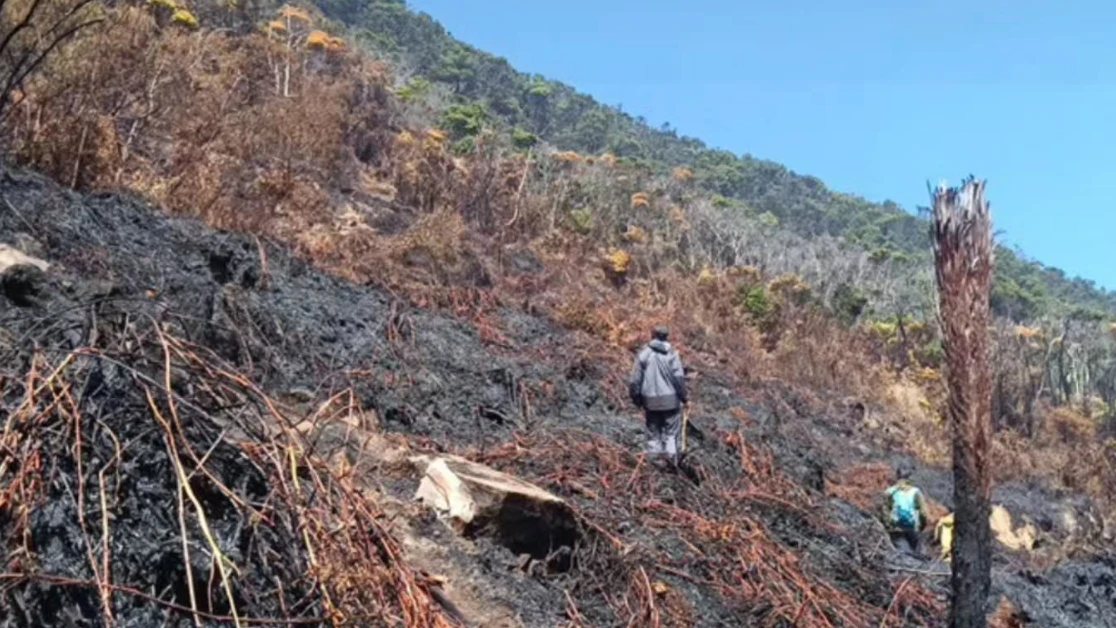 Marak Kasus Kebakaran, Dedi Mulyadi Larang Aktivitas Pendakian Gunung di Jawa Barat