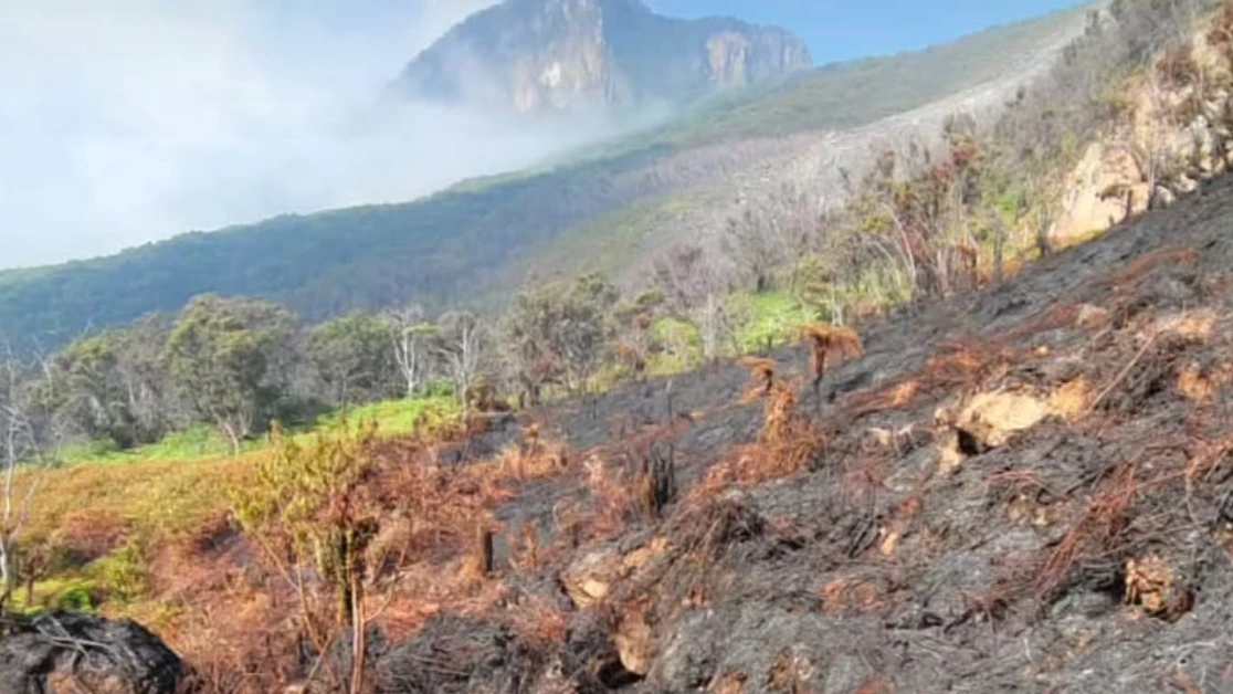 Cegah Kebakaran Meluas, Penutupan Pendakian Gunung Gede Pangrango Diperpanjang
