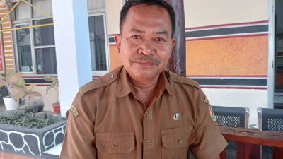 Dispangtan Pastikan Abu Vulkanik Tak Berikan Dampak Signifikan terhadap Pertanian