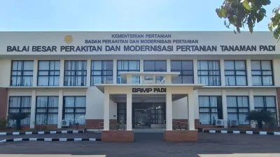 Pusat Pembenihan Padi di Subang Termasuk Salah Satu yang Terbesar di Asia Tenggara, Ini Perannya bagi Pertanian Indonesia