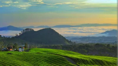 Gratis! Ini Daftar Tempat Wisata Subang yang Bisa Dikunjungi Tanpa Tiket Masuk
