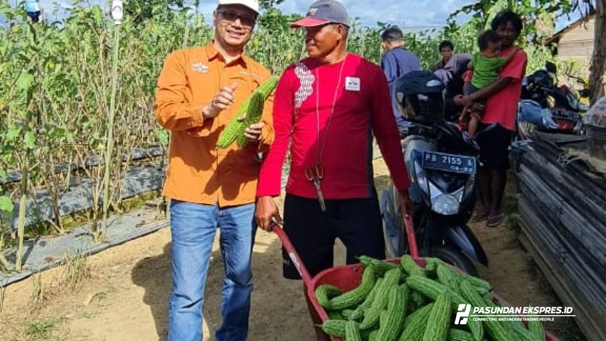 Glenn Pardede: Benih Tangguh Jadi Andalan Petani Hadapi Kemarau Panjang