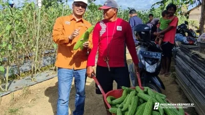 Glenn Pardede: Benih Tangguh Jadi Andalan Petani Hadapi Kemarau Panjang