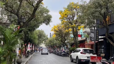 Jalan Braga Berubah Jadi Lautan Kuning! Tabebuya Bermekaran, Bandung Makin Instagramable Pekan Ini