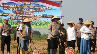 Tanam Jagung 1 Hektare di Subang, Kapolres Subang: Jangan Berhenti Seremonial