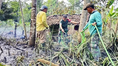 10 Ribu Pohon Nanas Hangus, Kebun 200 Bata di Kasomalang Subang Terbakar