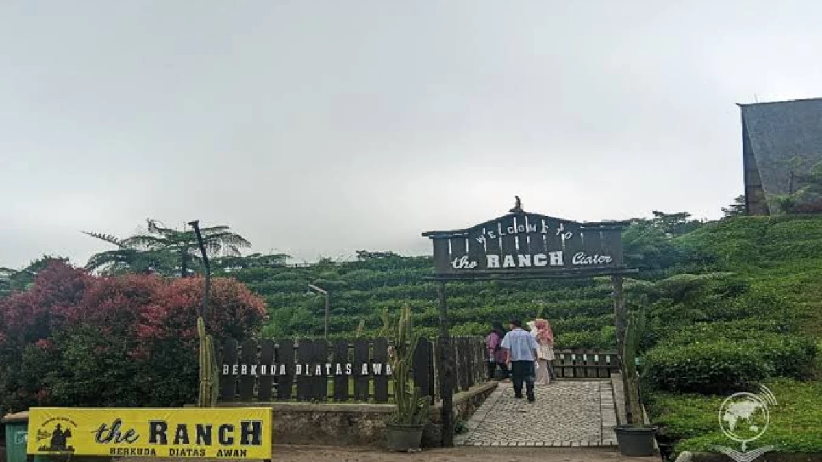 Bukan Sekadar Jalan-Jalan, Ini Tempat Wisata untuk Investor di Subang
