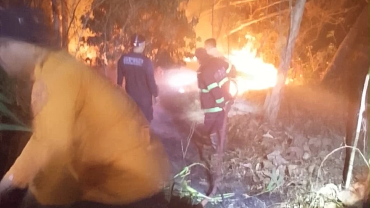 Kebakaran Lahan di Bantarsari Subang Dipadamkan, Diduga Berawal dari Pembakaran Sampah