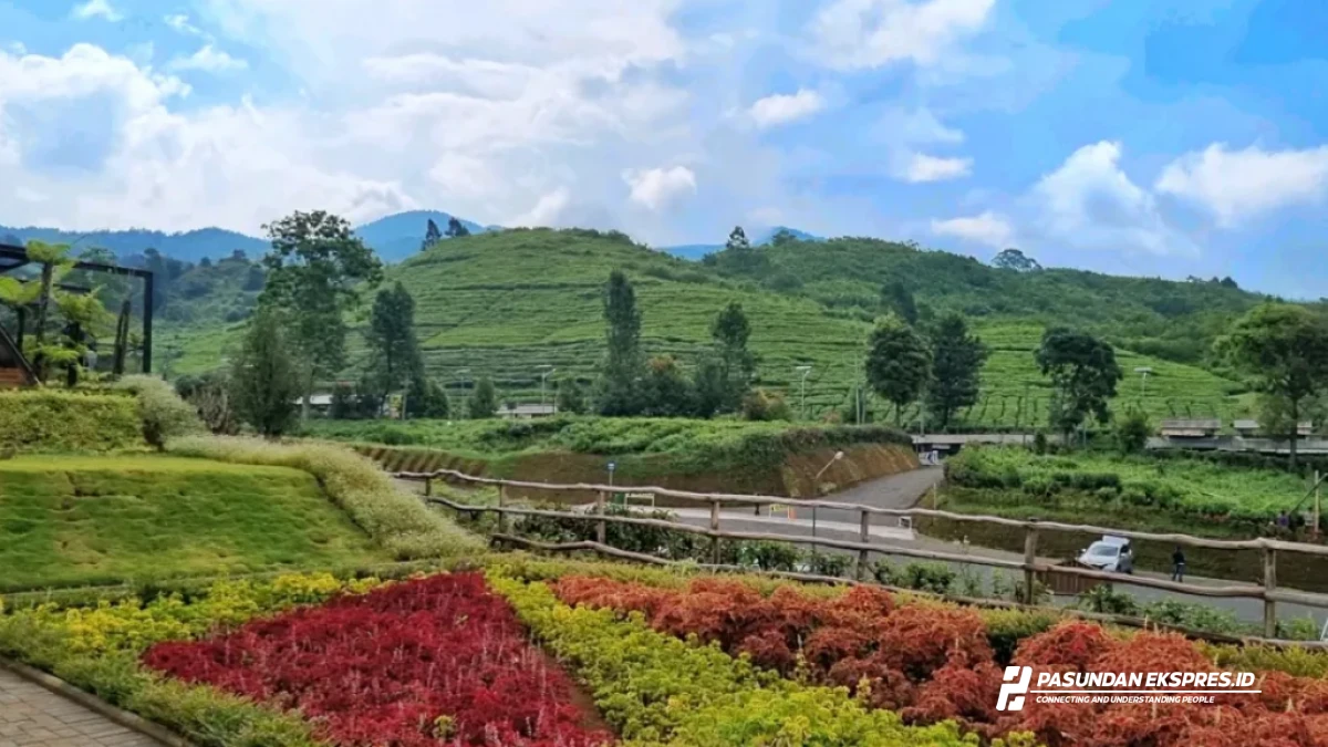 Pengalaman Wisata Subang untuk Pebisnis: Menggabungkan Bisnis dan Liburan