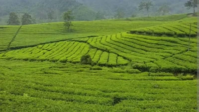 Bagaimana Perkembangan Pariwisata di Tengah Kawasan Industri Subang September 2026?
