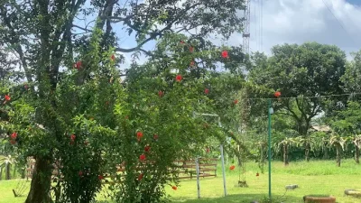 Desa Wisata di Subang yang Berpotensi Berkembang di Tengah Pesatnya Industrialisasi