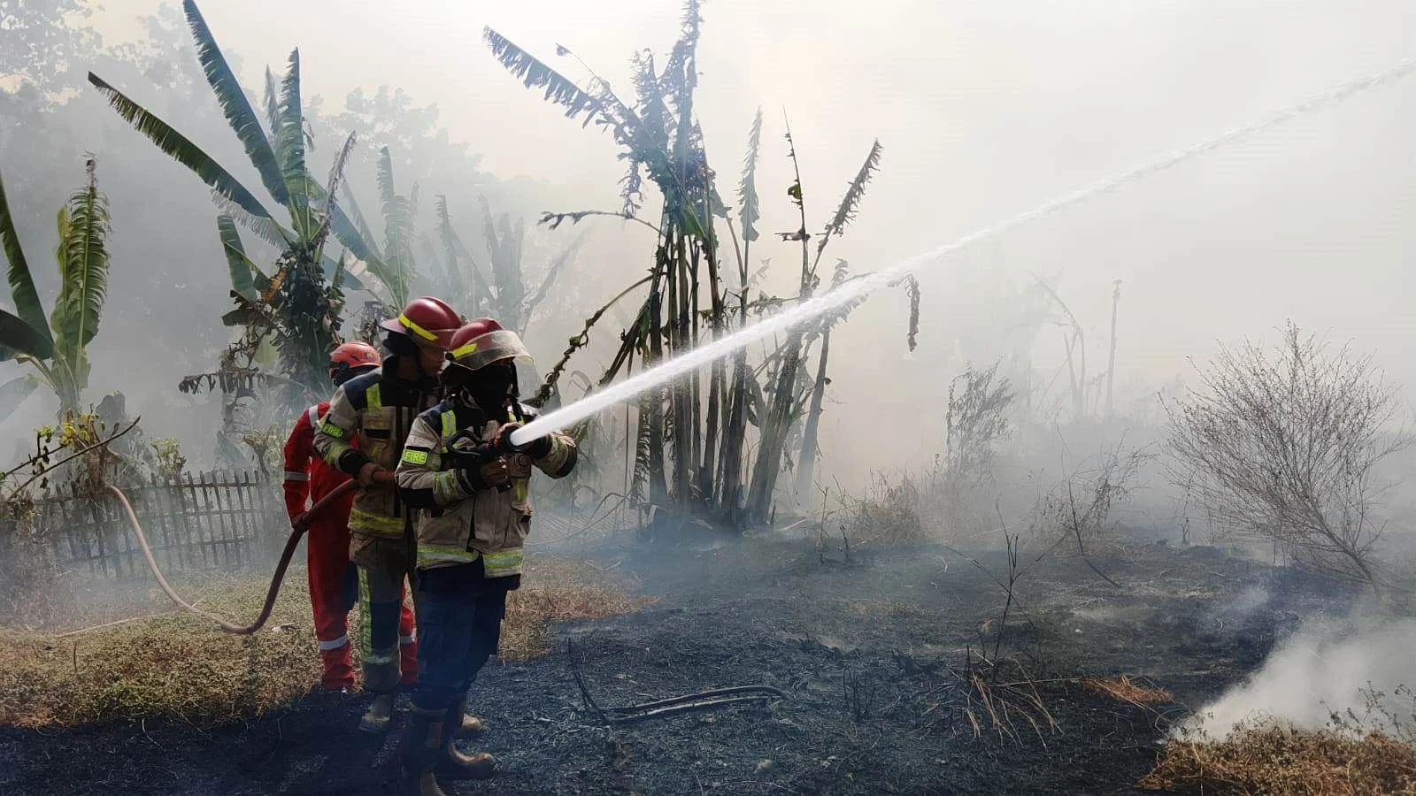 Karhutla Mendominasi, 329 Kebakaran Terjadi di Purwakarta hingga September 2026